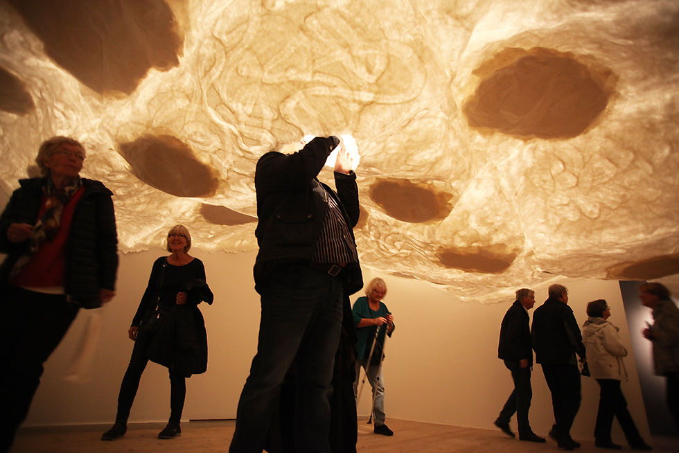 installation view