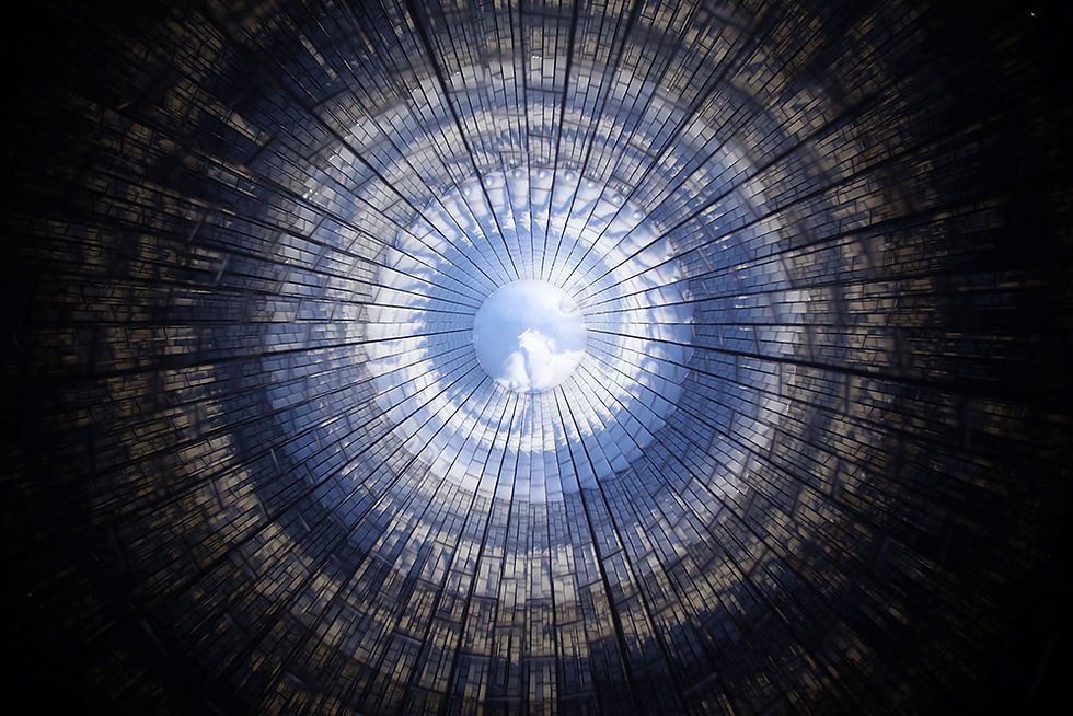 inside tree