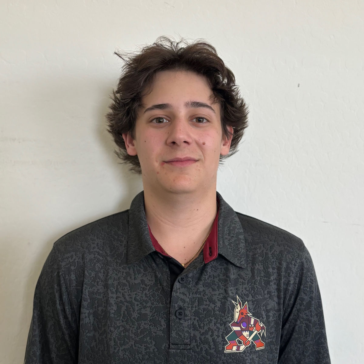 AZ Hockey Academy