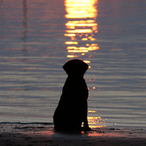 Conneywarren Lena 02.05.2008 - 30.04.2022