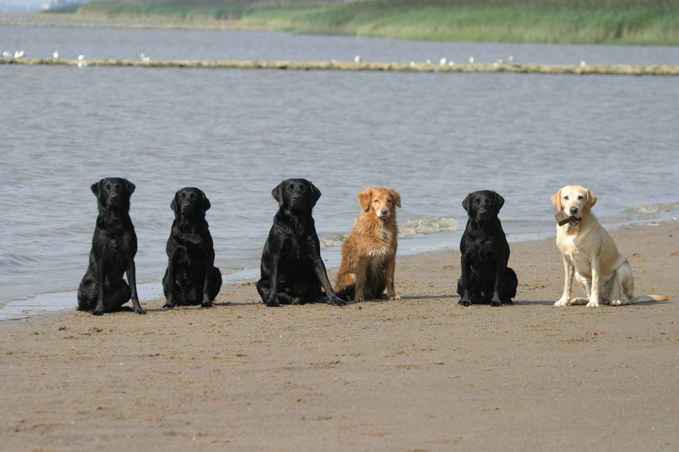 Weser 2011