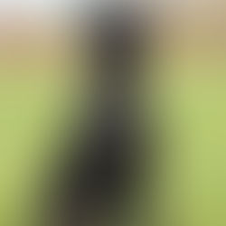 Herzliche Glückwünsche an Duck Enticer's Dayflower und Anna-Lina