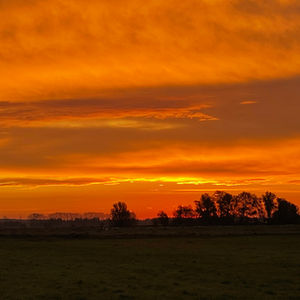 Wurferwartung bei den Favourite Fellow's