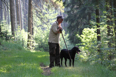 Wolfgang und Magic