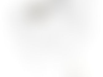 Vénus Retrógrada em Gémeos