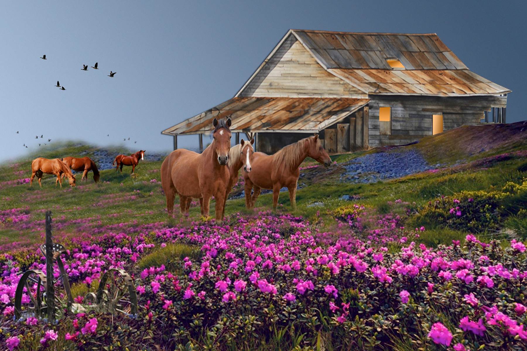 Mustangs / Giclee 13”x16”/ Artist Proof