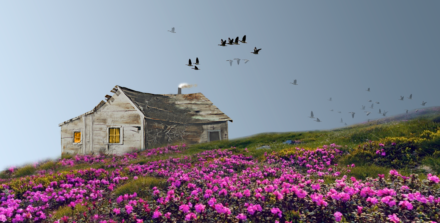 May Flowers / Giclee / 7.5”x 15"