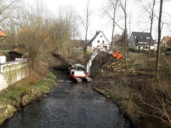 WhatsApp Image 2018-02-21 at 05.51.12