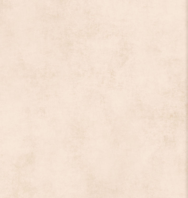 backgroundWeb.jpg