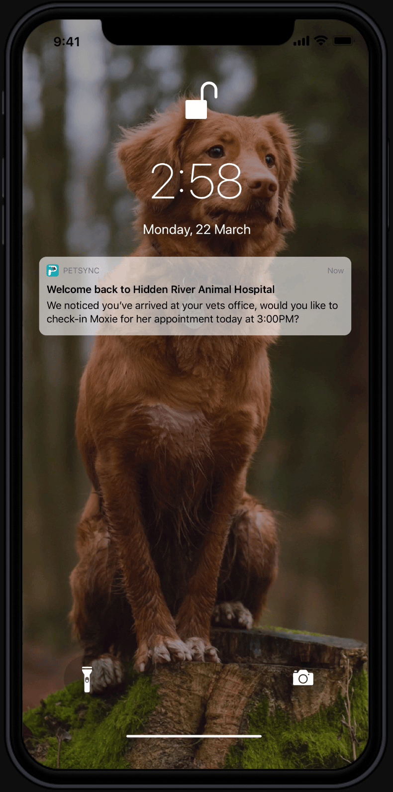 PetSync_Demo_Long.gif
