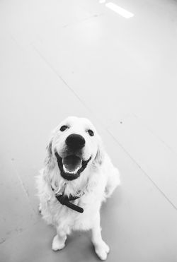 PEWebsite-54.jpg