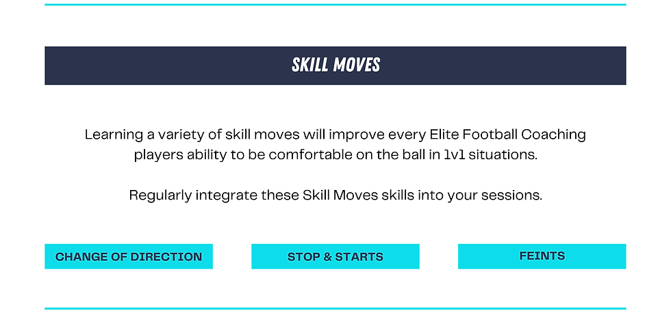 Elite Coaches Portal - Ball Mastery (7).png