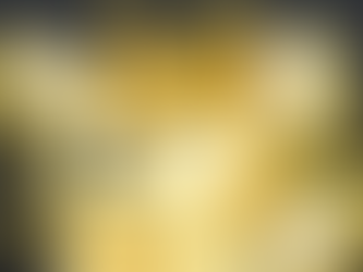 Elon Musk Changes Twitter Logo to "Doge" Meme