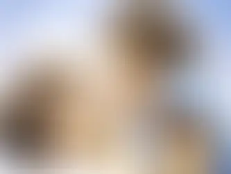 How Media Shapes Our Perception of Love