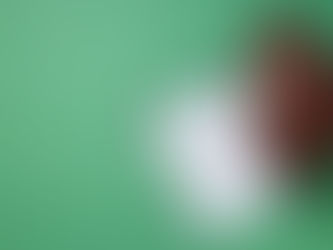 Trust the Toddler” Turns Turbulent as Viral NFL Predictions Spark Fan Backlash