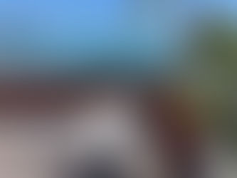 Hard wood raised beds framing a deck