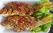 Kayak & co fish option for lunch