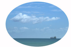 Ship coming into Tauranga wharf