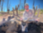trophy_mule_deer_guided_hunts.jpg