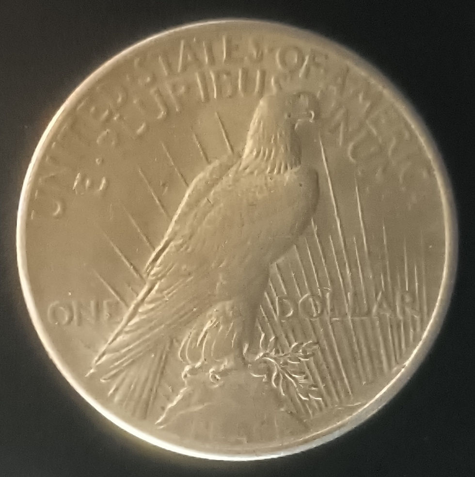 Thumbnail: Reverse of high grade 1925 Philadelphia Peace Dollar