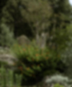 Stone statue in garden, La Romanella