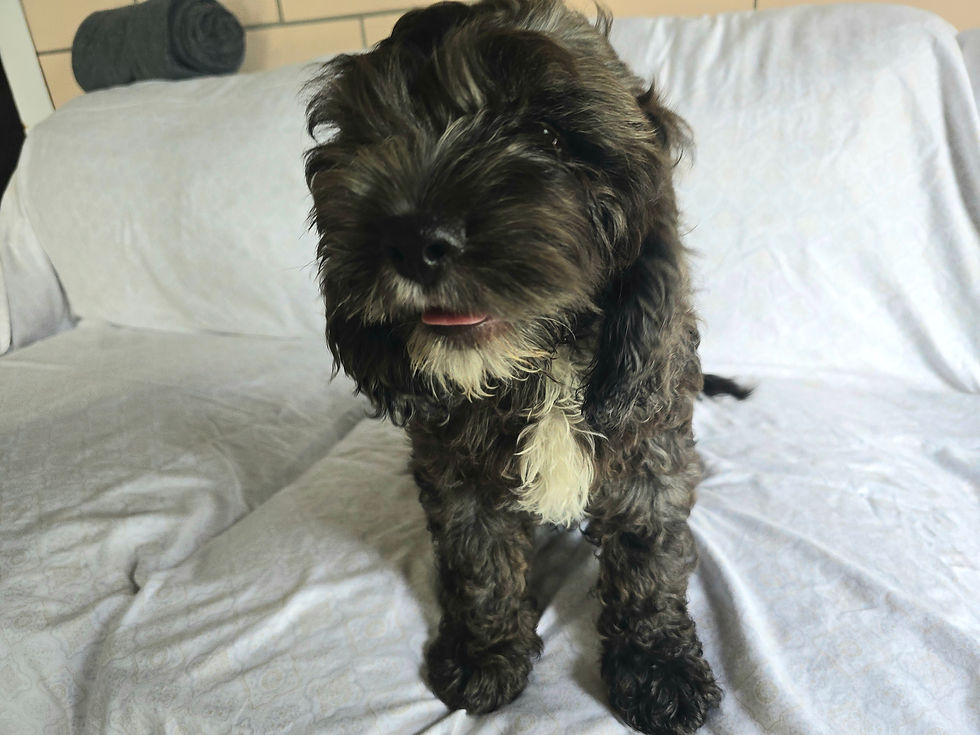 Sam