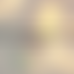 Wie man Waldbrände verhindert und ihre Ausbreitung eindämmt