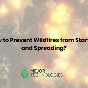 Wie man Waldbrände verhindert und ihre Ausbreitung eindämmt