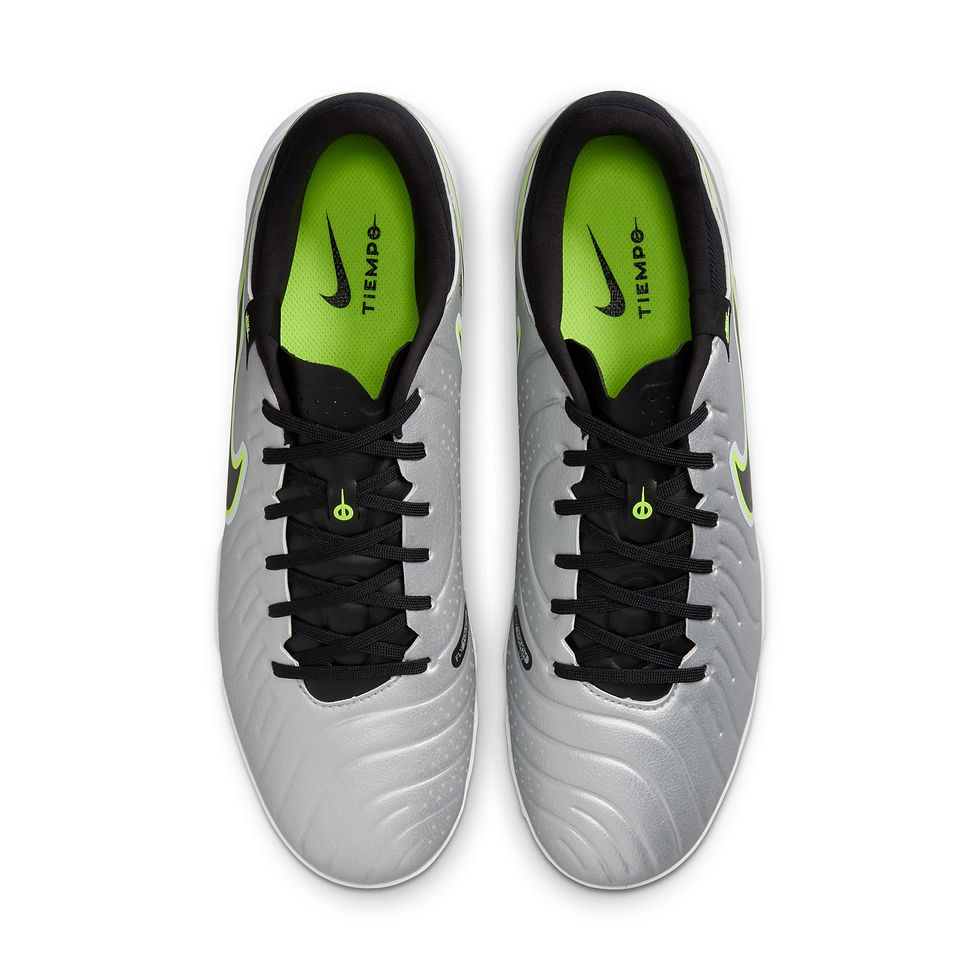 送料無料 新品 NIKE LEGEND 10 ACADEMY HG 27.5 NIKE / TIEMPO LEGEND 10 ACADEMY / SILVER GREEN | THE FOUR