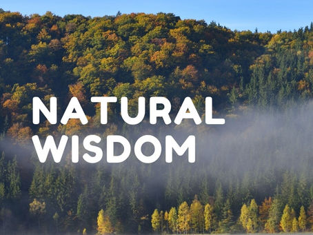 The Wisdom of Nature: Nature-Based Spirituality and Practices