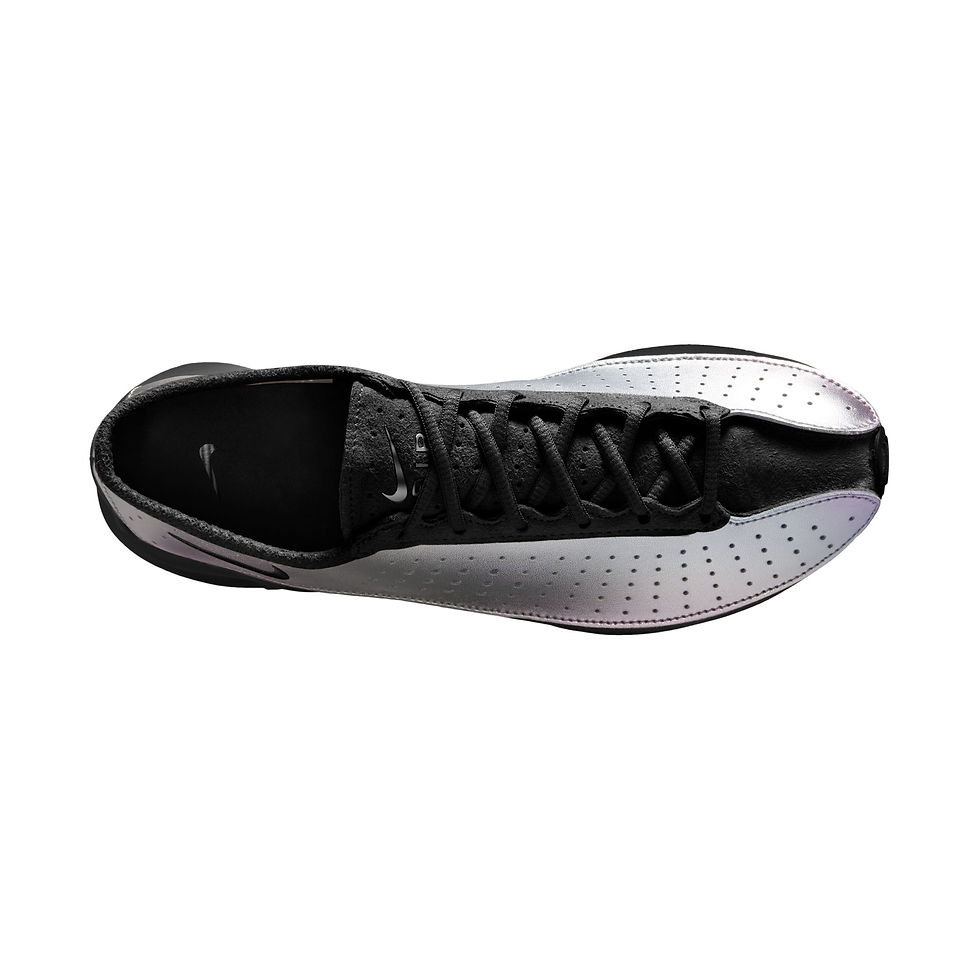 Thumbnail: NIKE / AIR SUPERFLY / METALLIC SILVER