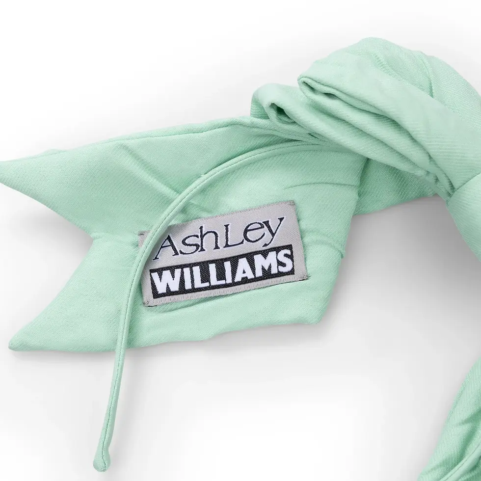 サムネイル： Ashley Williams / BOW HAIR BAND / MINT NOTE PAPER