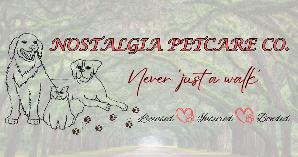 Facebook Cover Photo_edited_edited.jpg