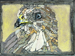 Buzzard