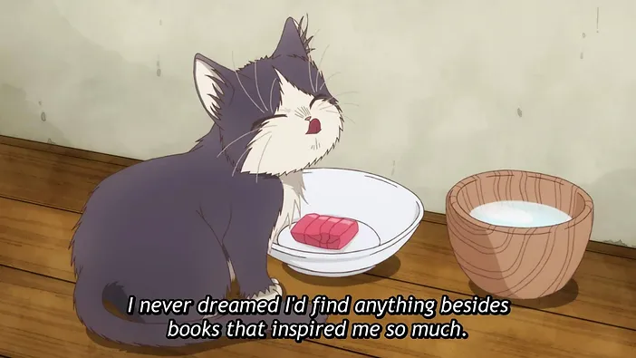 Anime Review My Roommate Is A Cat