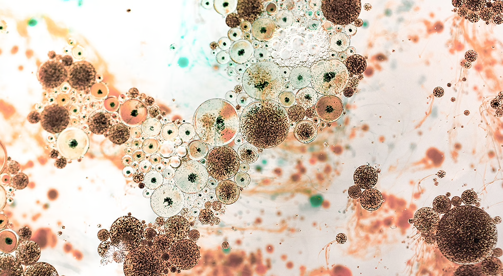 prebiotics probiotics postbiotics gut health microbiome butyrate fiber