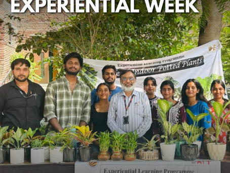 Experiential Learning Revolution at Lovely Professional University