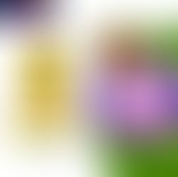 Play Rummy 11 Online Anytime – Enjoy 24/7 Exciting Card Games