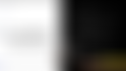 Social Capital:「アメリカ人事を図と表で(仮)」