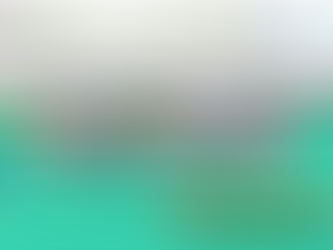 史上最高額のスーパーボウル体験 / The Priciest Super Bowl Experience :「アメリカ人事を図と表で(仮)」#アメリカHR