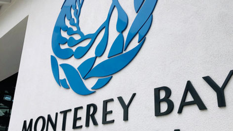 Monterey Bay Aquarium：モントレーベイ水族館