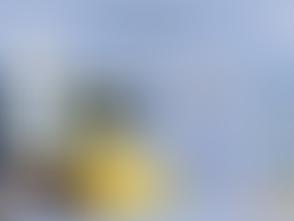 初任給の高い専攻は!?:「アメリカ人事を図と表で(仮)」