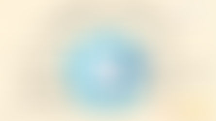 2024年度のH1Bビザの申請:「アメリカ人事を図と表で(仮)」