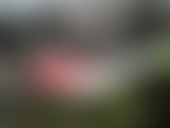 Air India Boeing 787-8 Crashes Moments After Takeoff in Ahmedabad