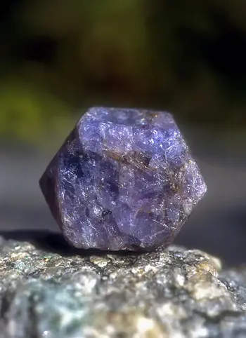 Alaskan Essences-Gem Elixer-SAPPHIRE