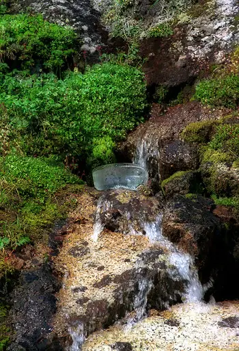 Alaskan Essences-Environmental Essence ROCK SPRING