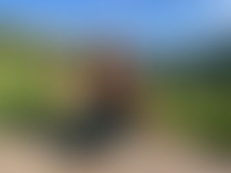 Uteyoga - har du testet det? 