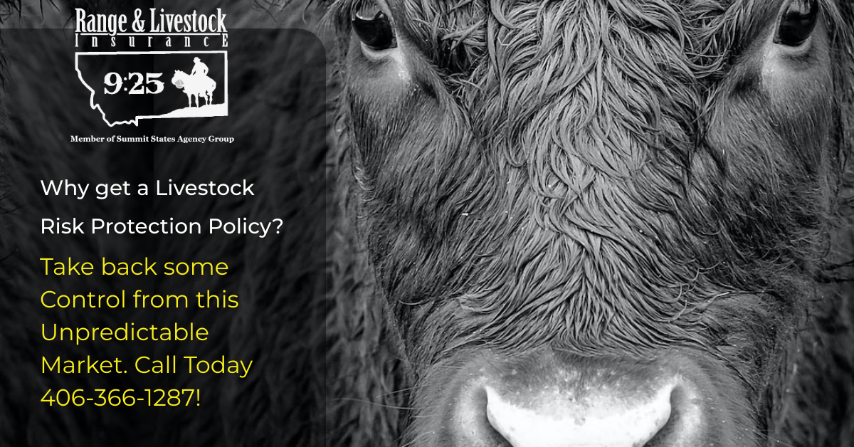 Range & Livestock Insurance / Erickson's 925 Insurance Livestock