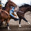 Thumbnail: Rodeo horses