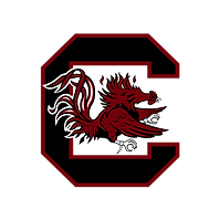 University of South Carolina